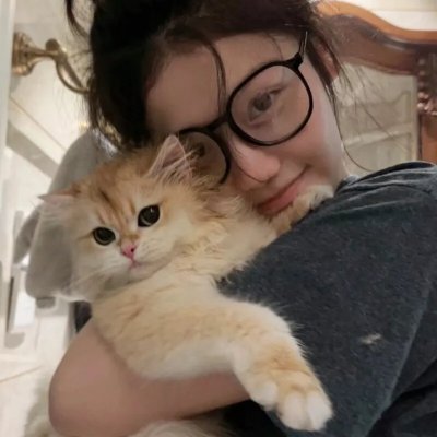 灰姑娘的故事：圣诞愿望